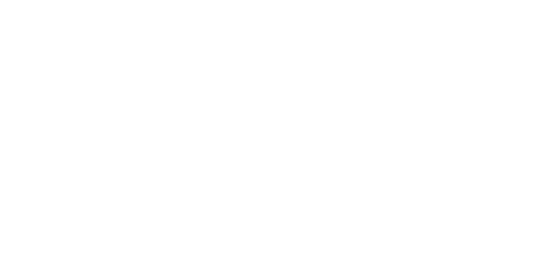 Dream Big Commerce, LLC.